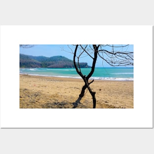 View through two curved pine tree trunks to a sand beach Posters and Art